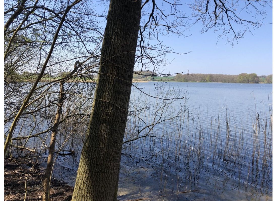 Am See im Wald — Area di sosta in Eutin