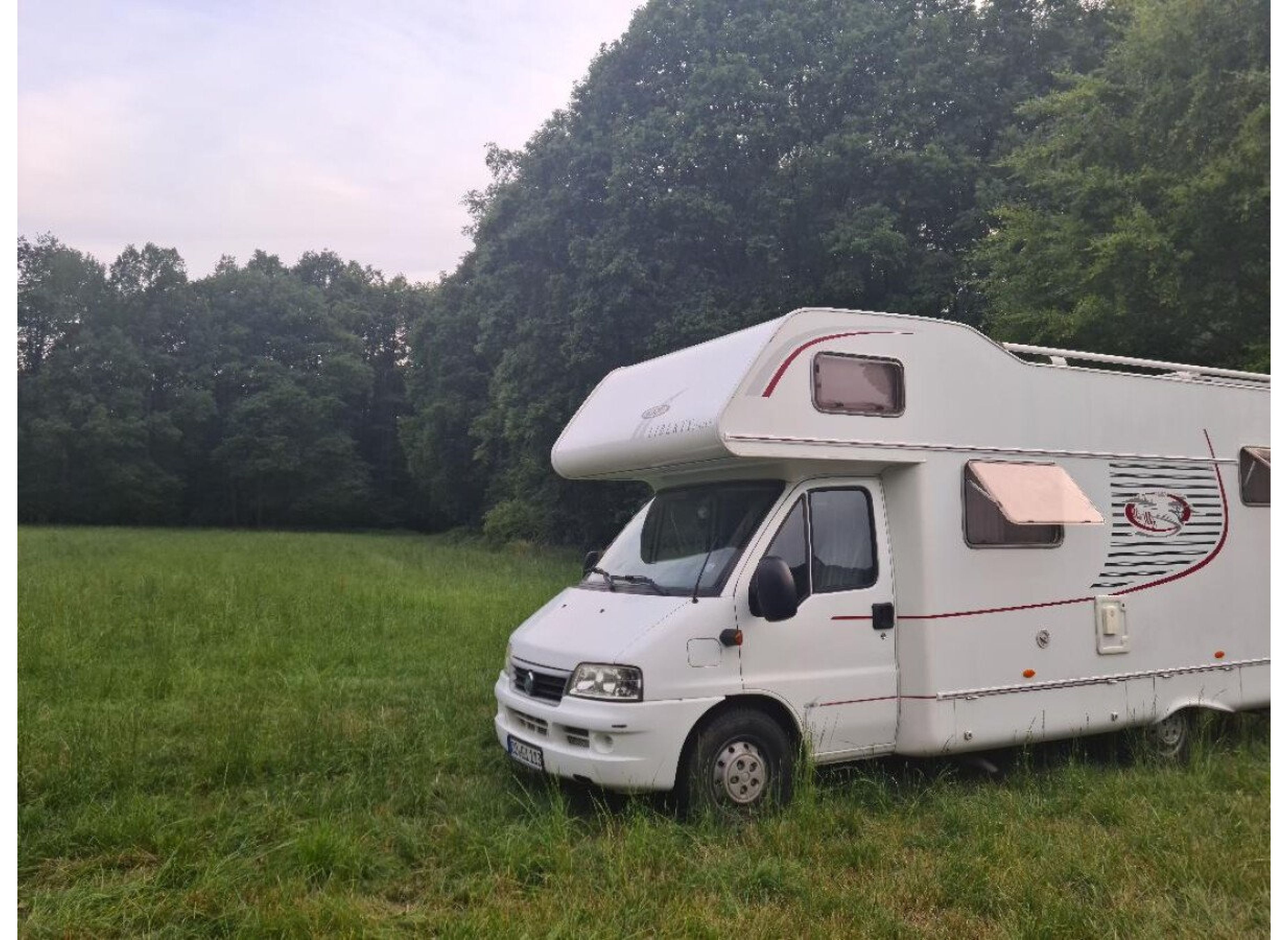 Naturnaher Stellplatz, auf großer Wiese, direkt am Waldrand — Bobilplass in Neustadt