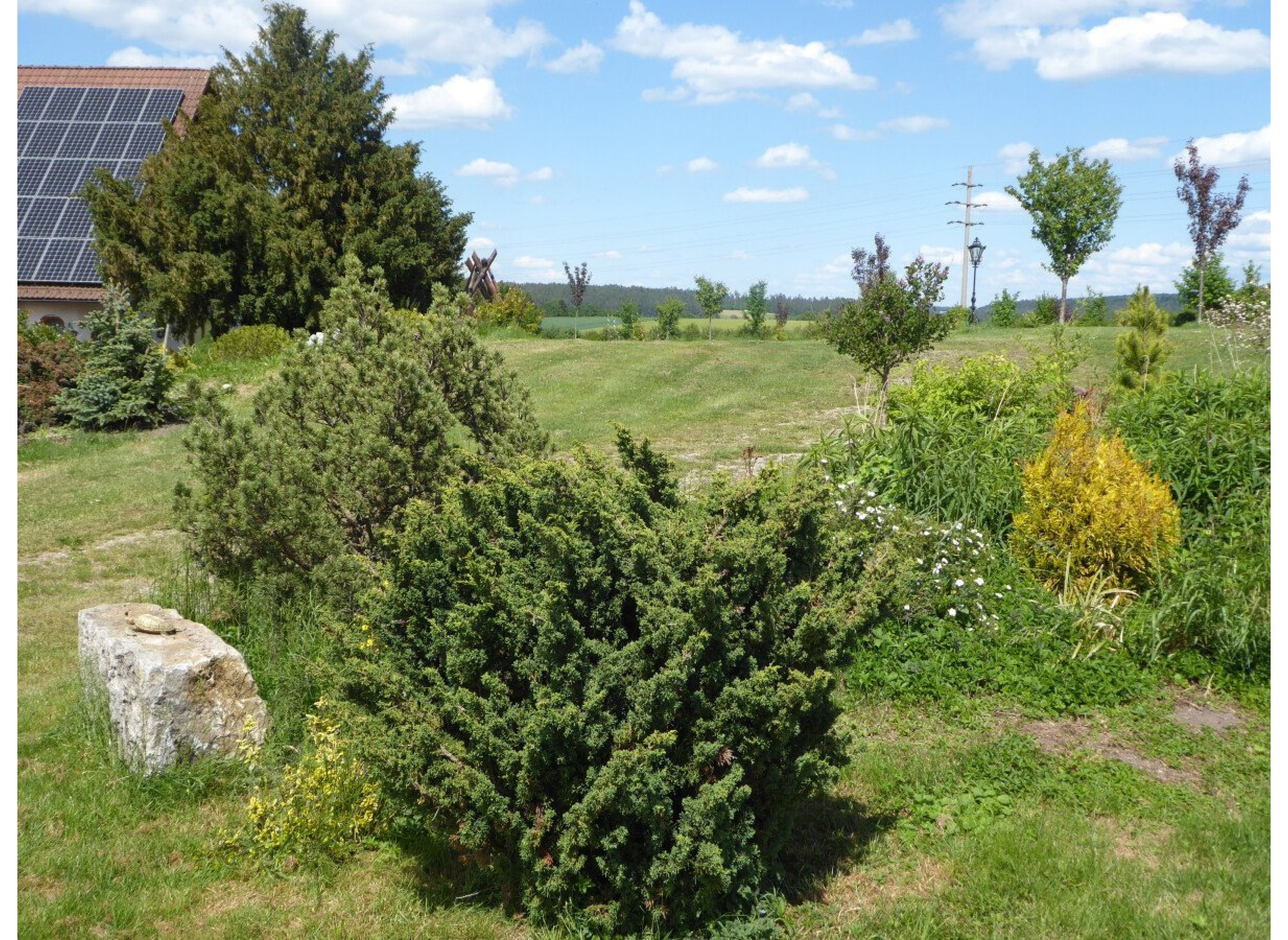 Idyllische Alleinlage mit Ausblick — Aire camping car in 78052 Villingen-Schwenningen