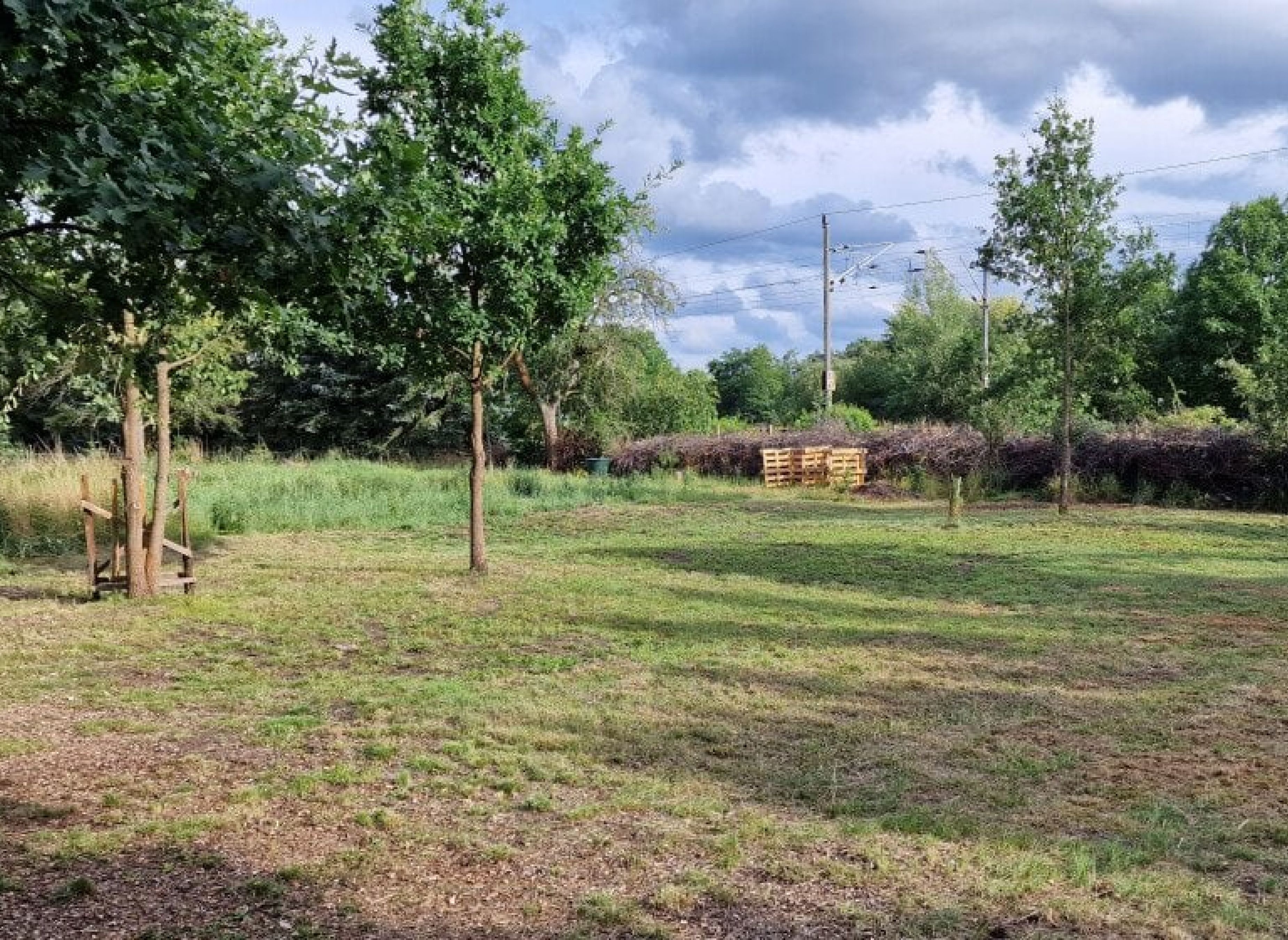 Wiese im Seenland — Campervan Site in Senftenberg