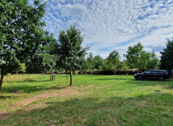 Wiese im Seenland — Photo 2