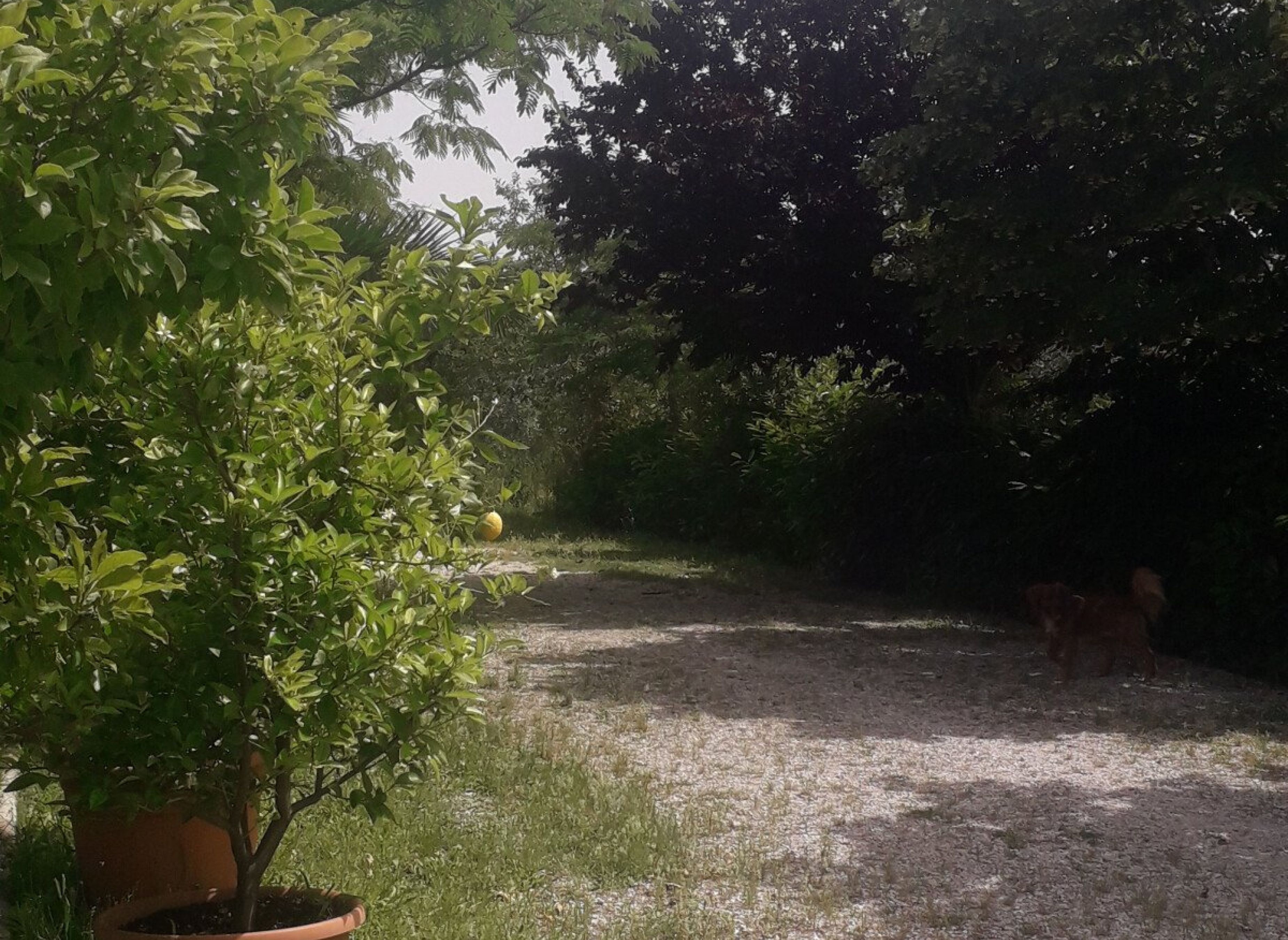 HALTEN SIE IM GRÜNEN VON VITERBESE TUSCIA SOSTA NEL VERDE DELLA TUSCIA VITERBESE#1 — Sítio para autocaravanas in viterbo