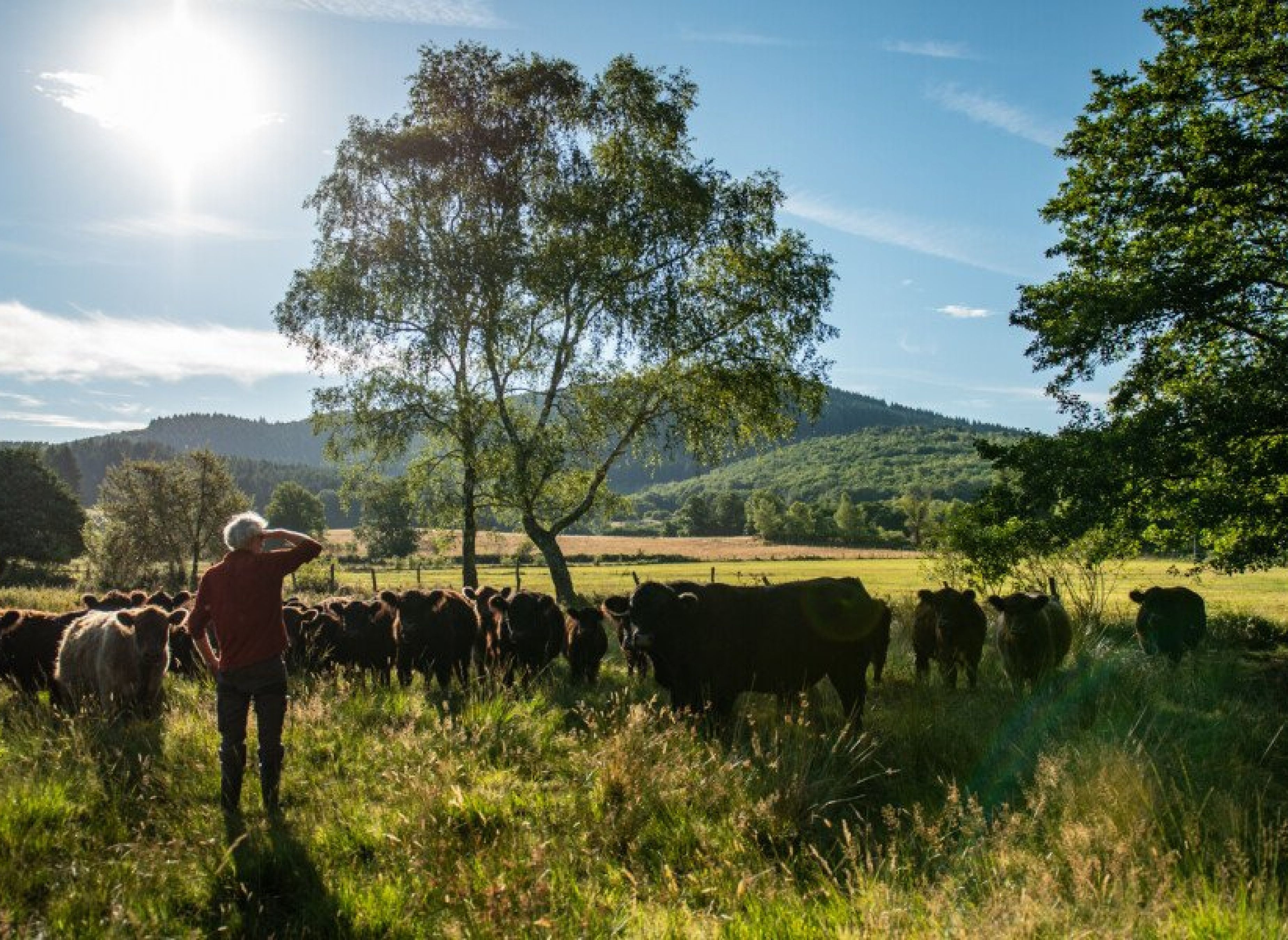 Ein Bauernhof im Herzen des Monédièrs; Une ferme au coeur de masif des Monédières — Area Autocaravanas in VEIX