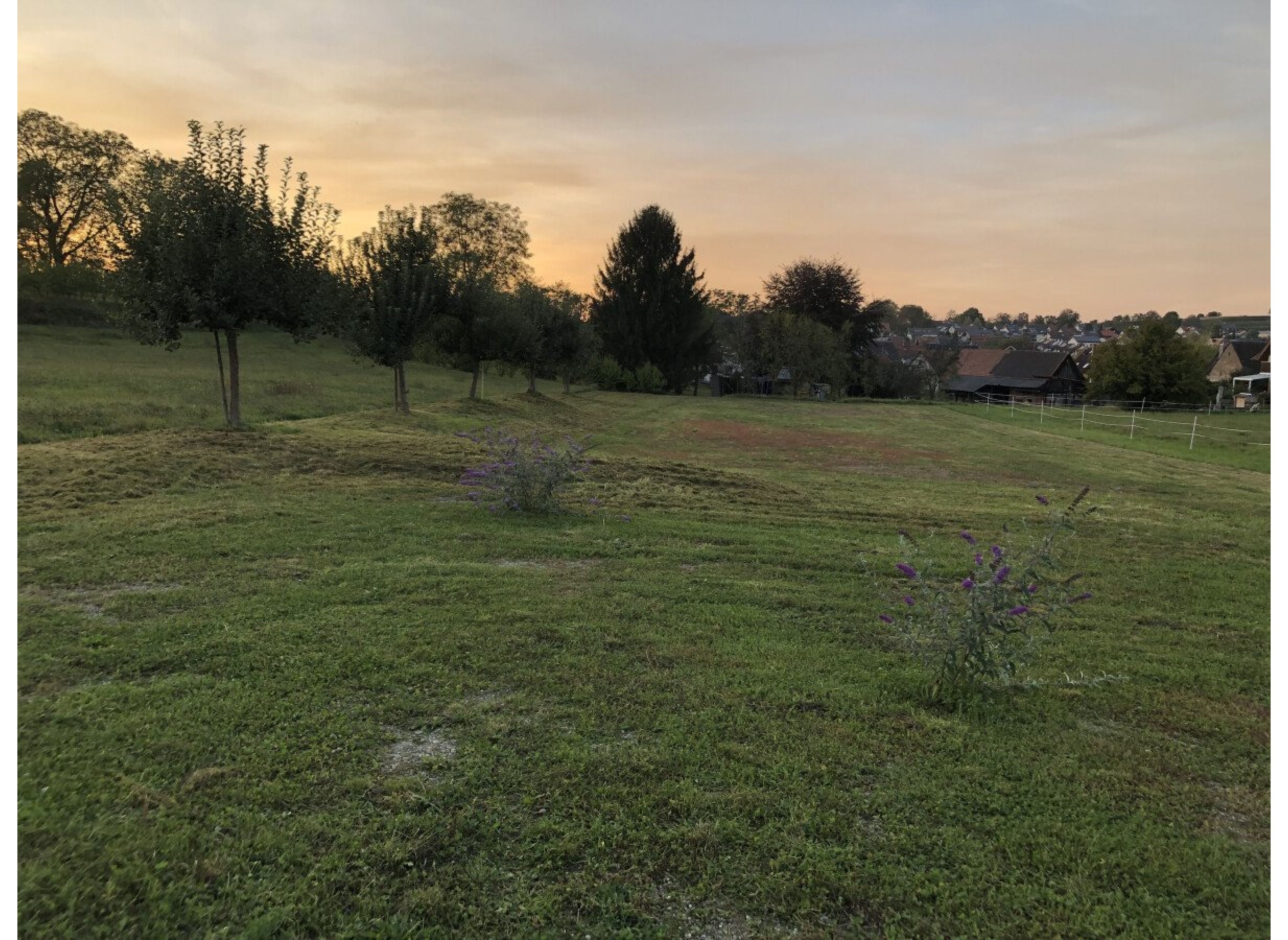 Aussiedlerhof am Ortsrand — Campervan Site in Emmendingen