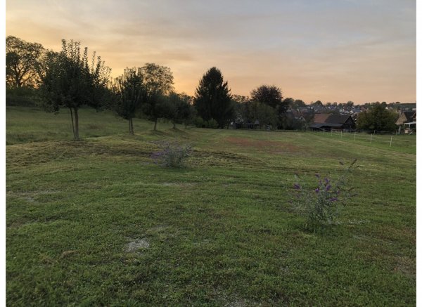 Aussiedlerhof am Ortsrand