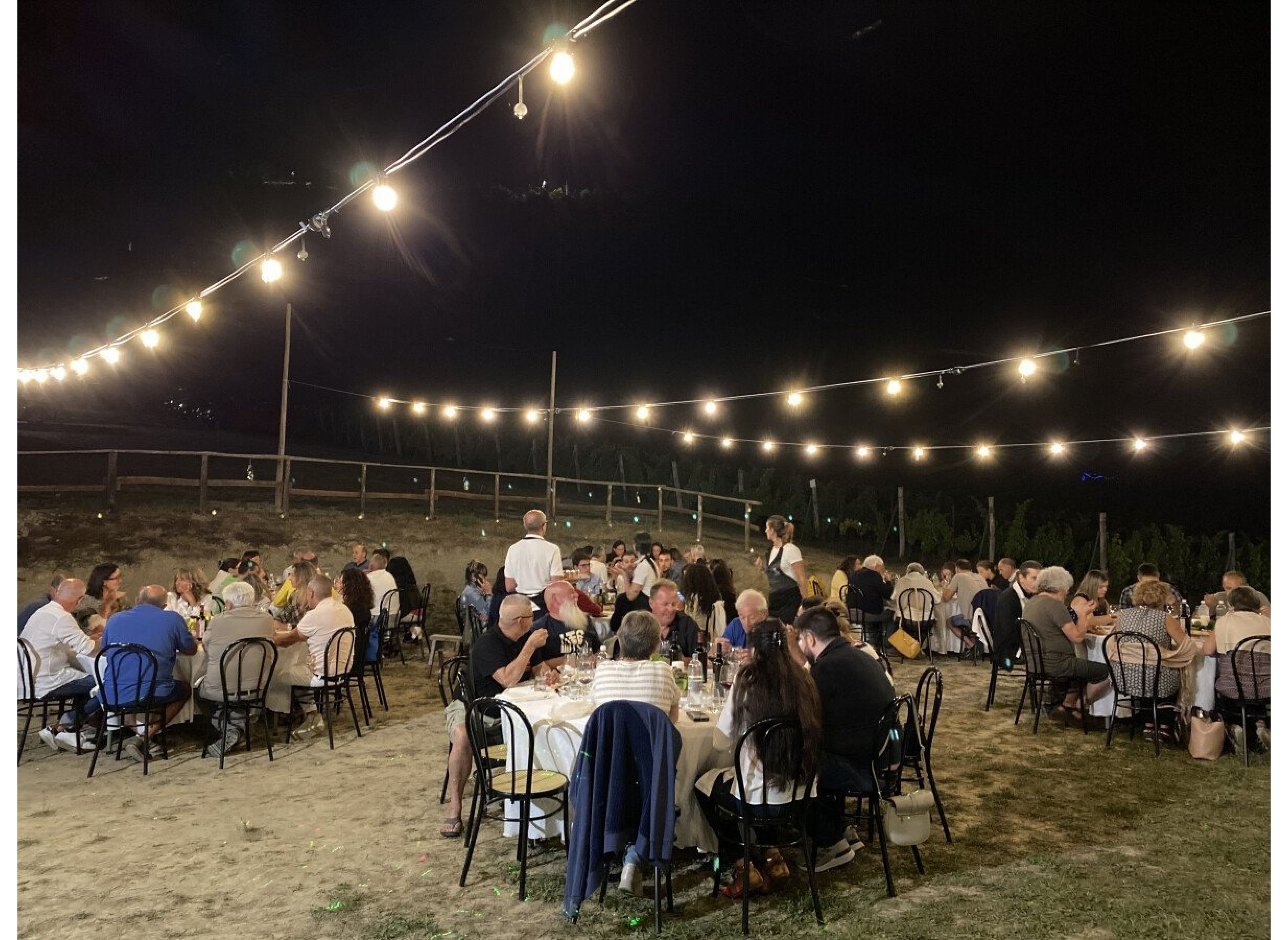 Erfahrung im Weinberg Experience in Vigna — Vinícola in ROCCAVIGNALE