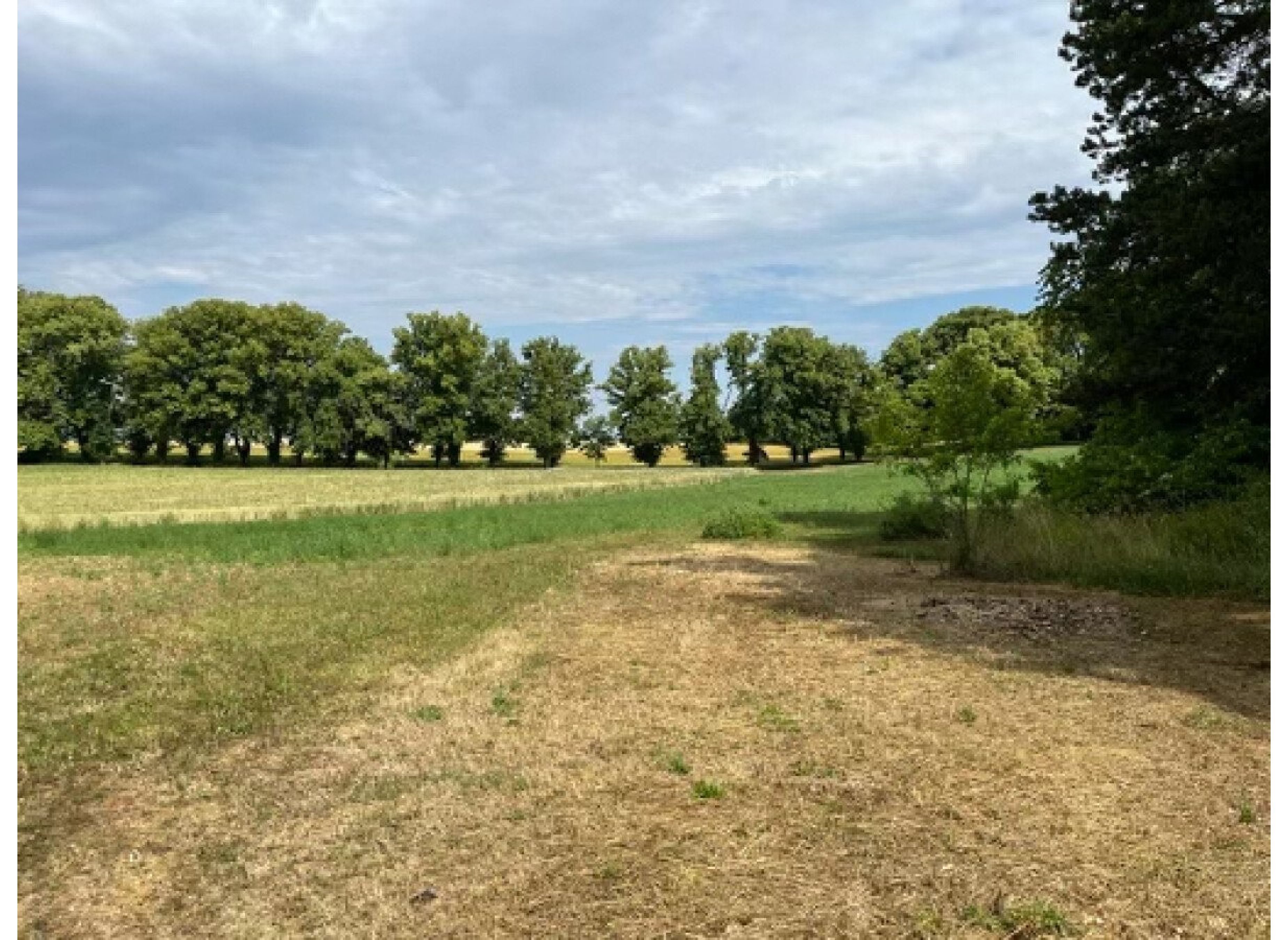 Merveilleux moments dans notre domaine trufficole — Area Autocaravanas in SEMOUTIERS-MONTSAON