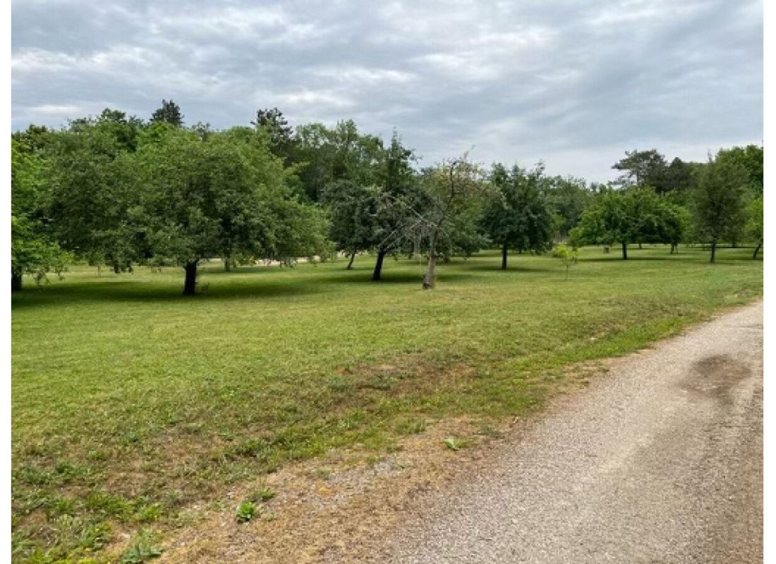 Merveilleux moments dans notre domaine trufficole — Area di sosta in SEMOUTIERS-MONTSAON