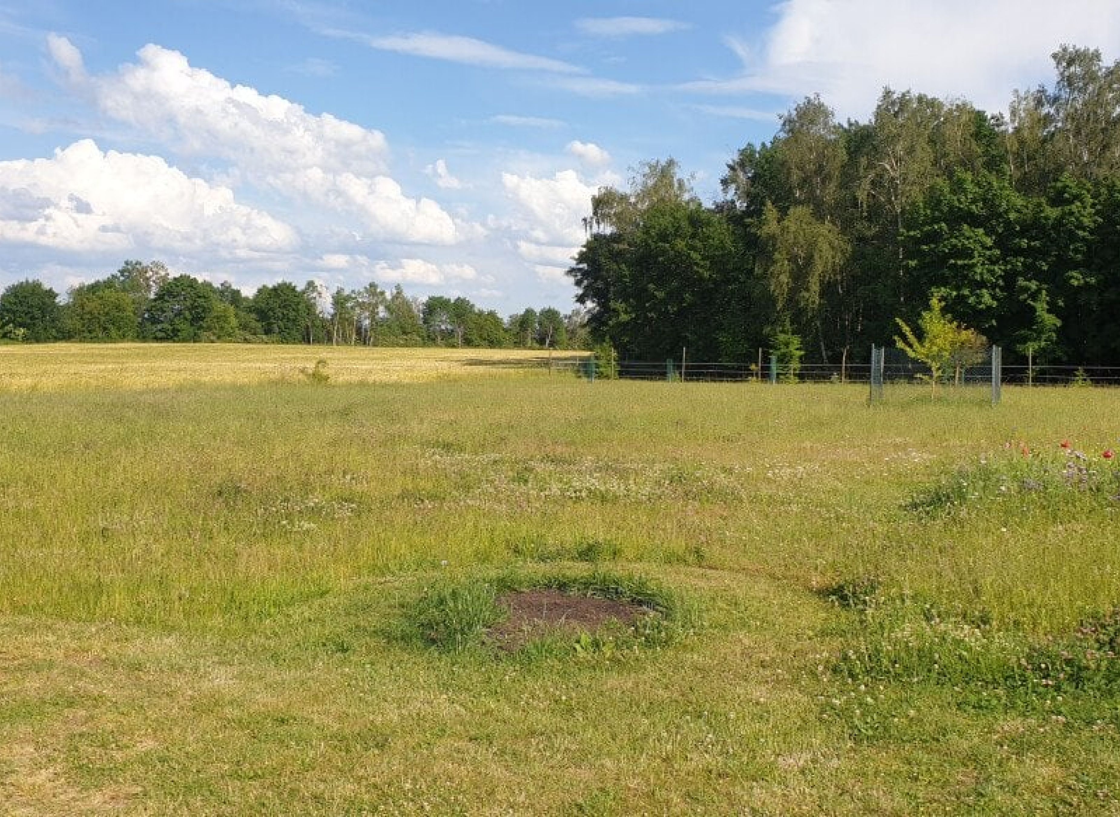 Naturerlebnis in Görzig! — Karavan Sitesi in Rietz-Neuendorf