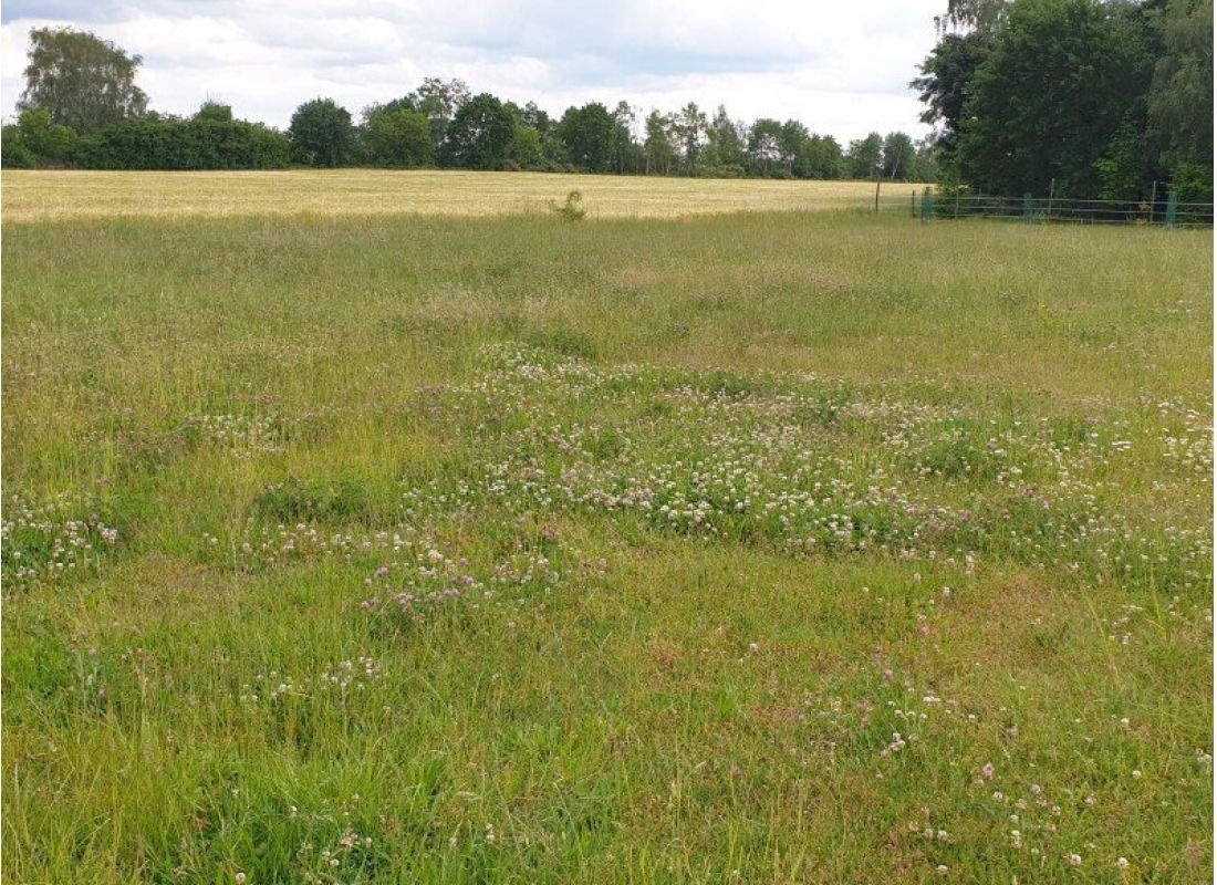 Naturerlebnis in Görzig! — Camperplads in Rietz-Neuendorf