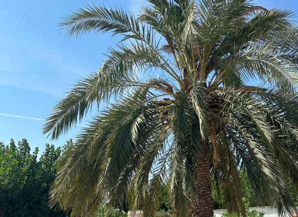 Fünf Minuten zu Fuß zum Strand — Photo 2