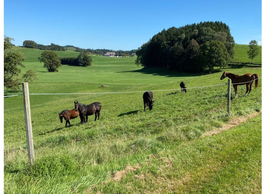 Stellplatz im Allgäu mit toller Bergsicht — Місце для кемперів in Amtzell