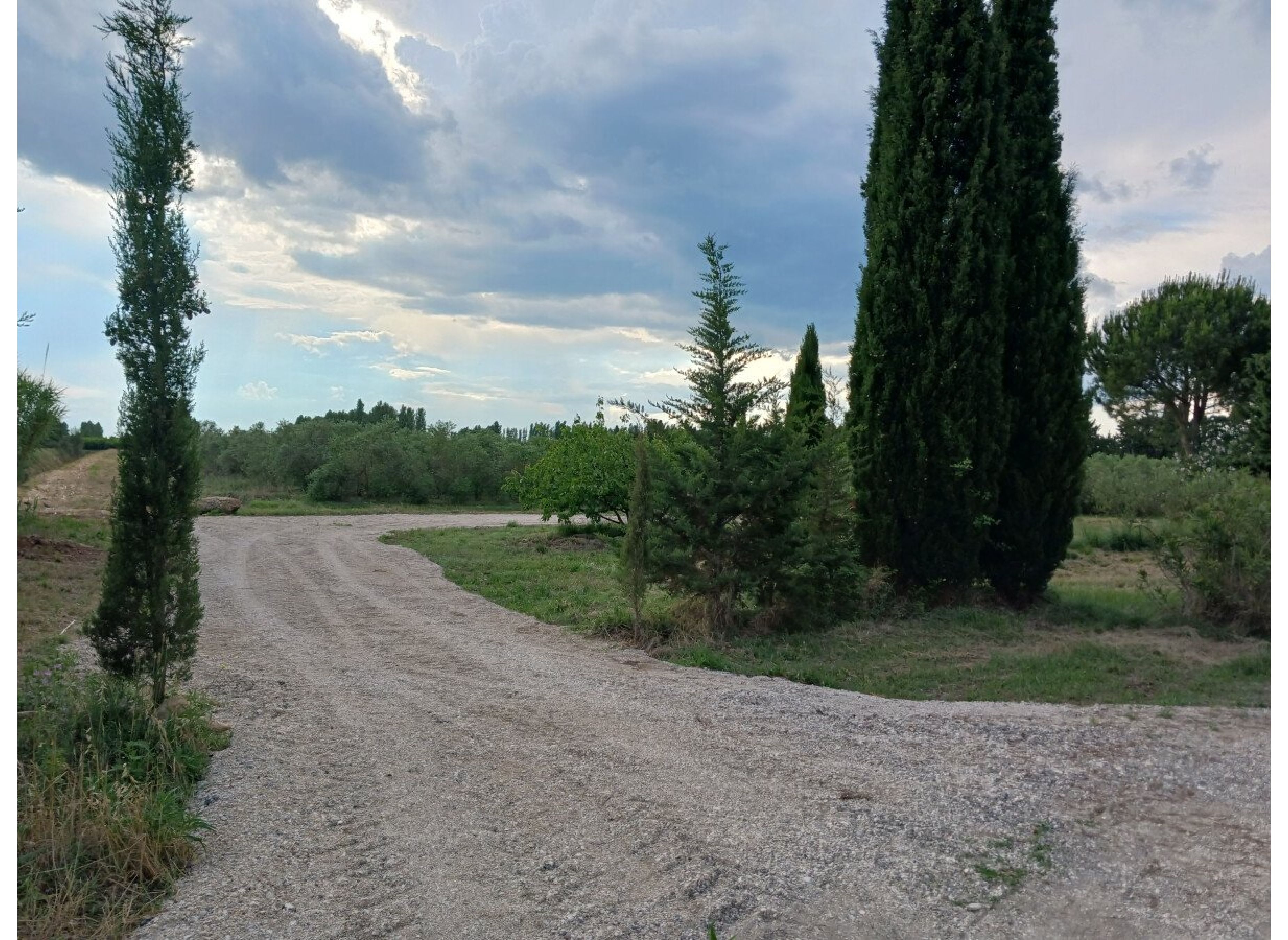 Natururlaub in einem Bio-Olivenhain/Pause nature dans une oliveraie biologique — Area Autocaravanas in ST MARTIN DE CRAU