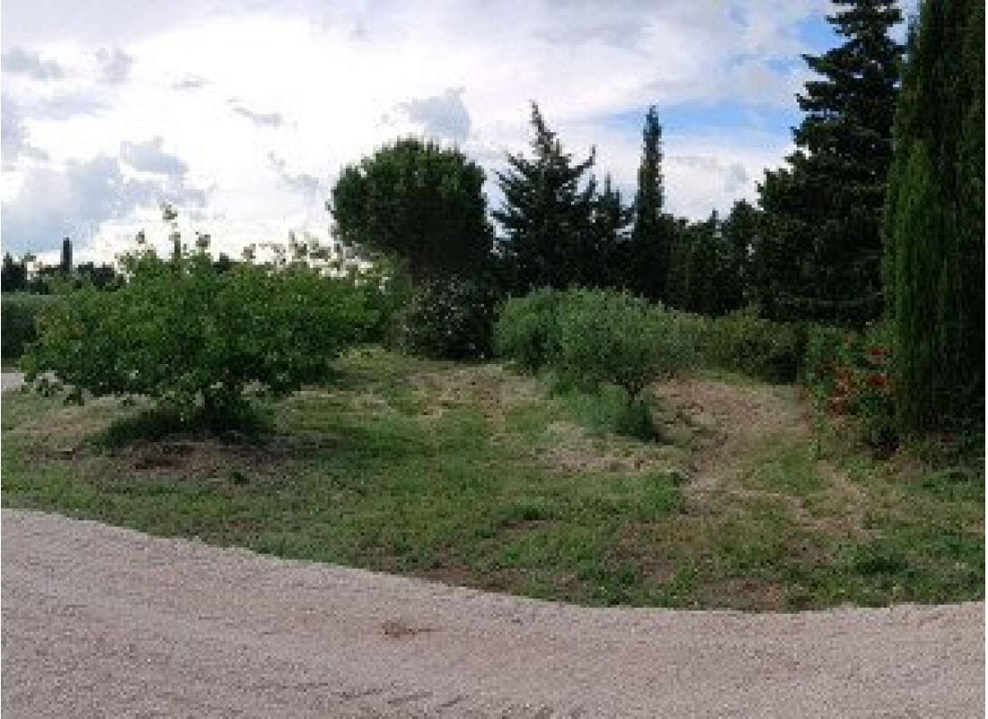 Natururlaub in einem Bio-Olivenhain/Pause nature dans une oliveraie biologique — Sítio para autocaravanas in ST MARTIN DE CRAU