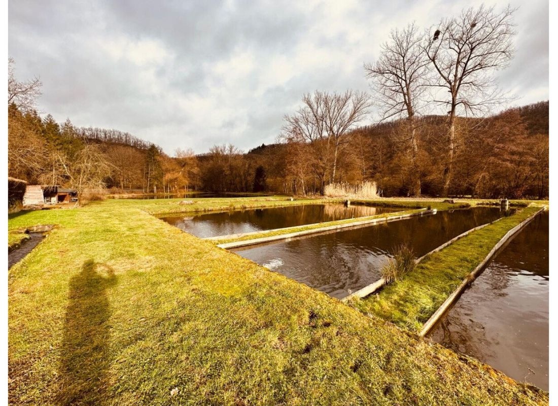 An der Forellenzucht — Campervan Site in Burgen