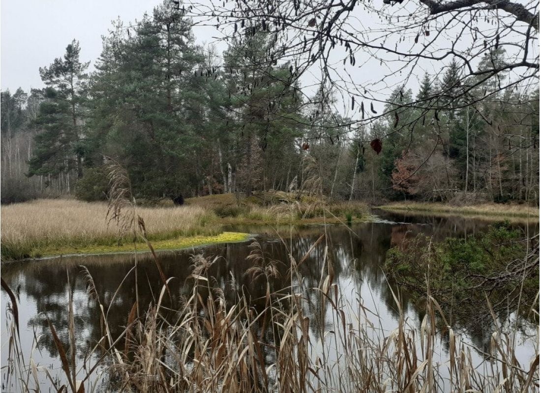Am Finsterbach — Bobilplass in Roth