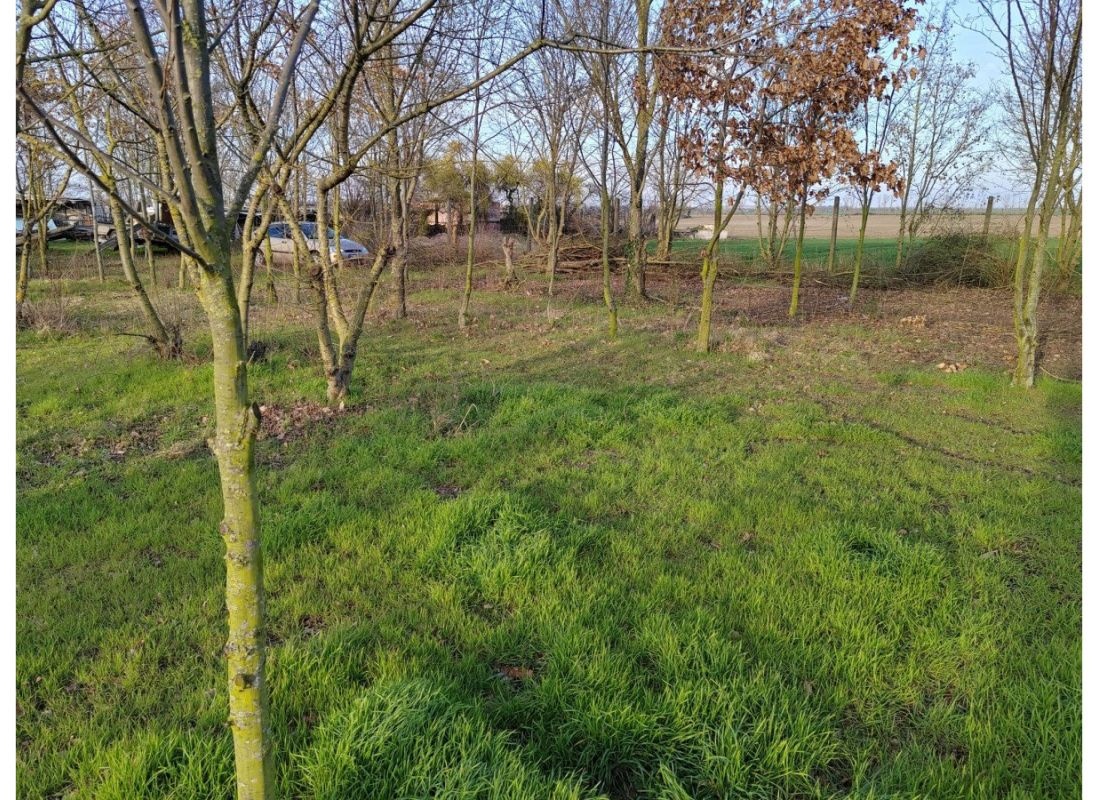 Camping in sehr ruhiger Lage mit Weitblick — Karavan Sitesi in Bad Lauchstädt