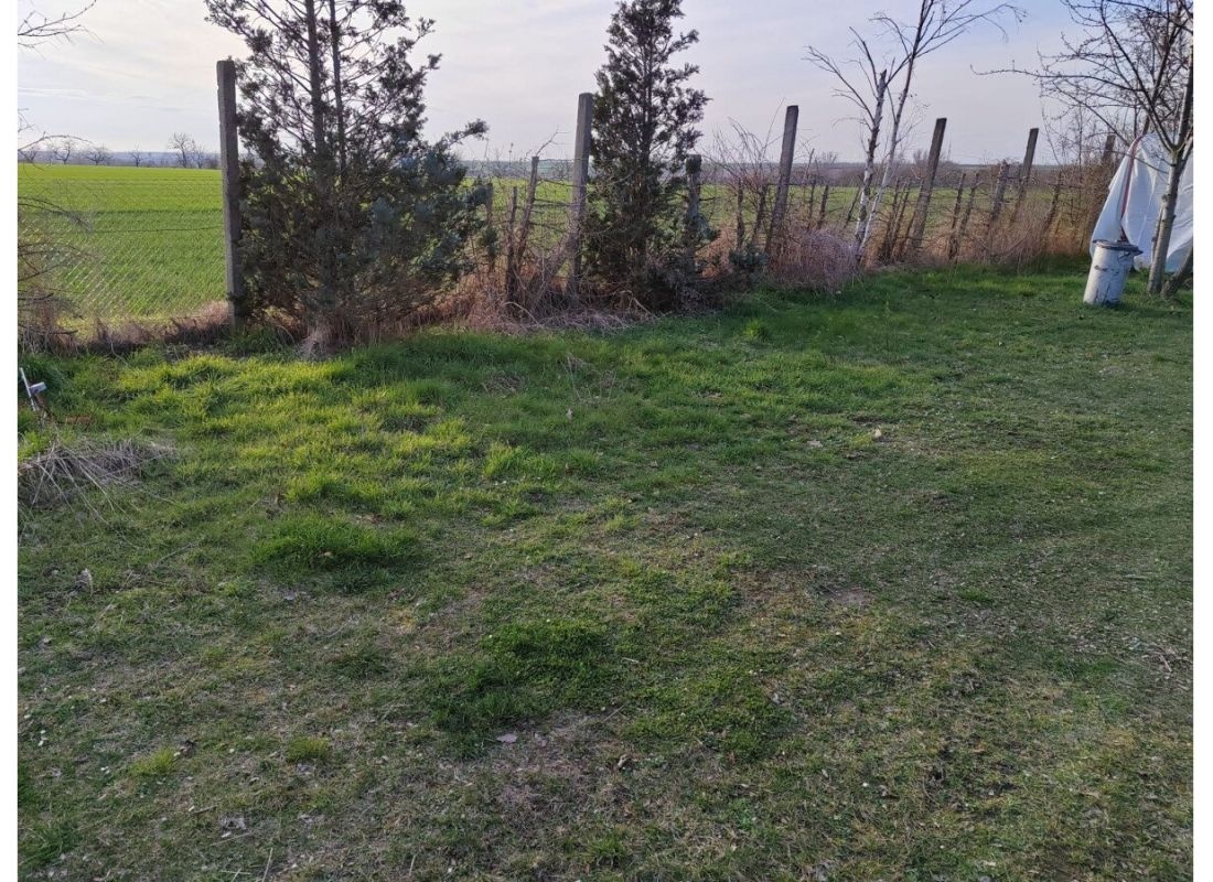 Camping in sehr ruhiger Lage mit Weitblick — Stellplatz in Bad Lauchstädt