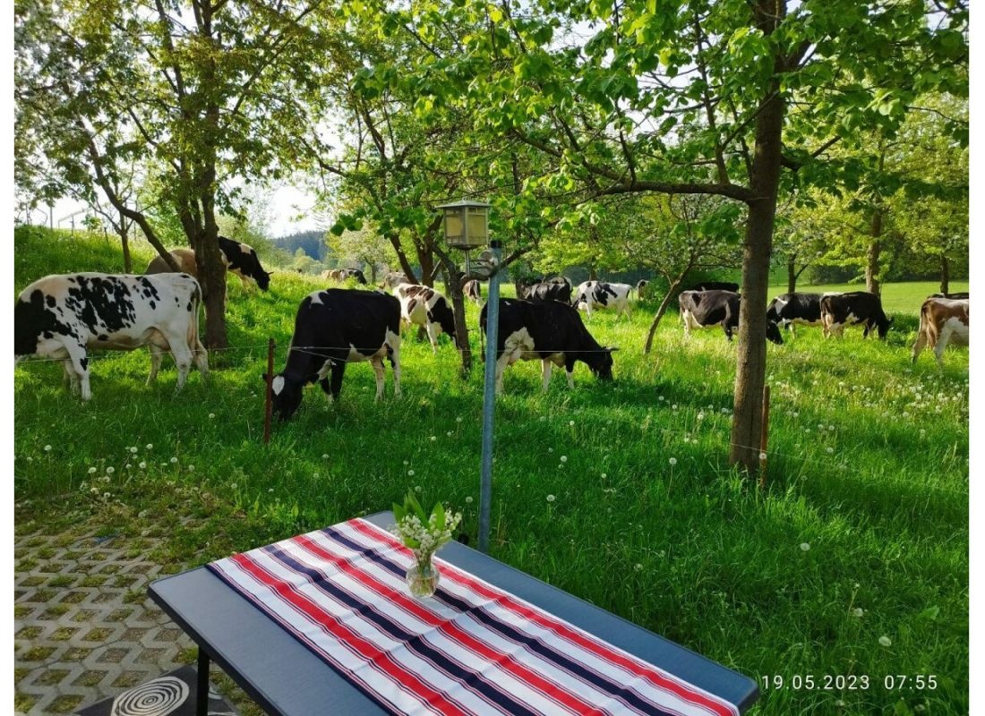 Stellplatz mit Blick auf die Weide — Campervan Site in Remptendorf