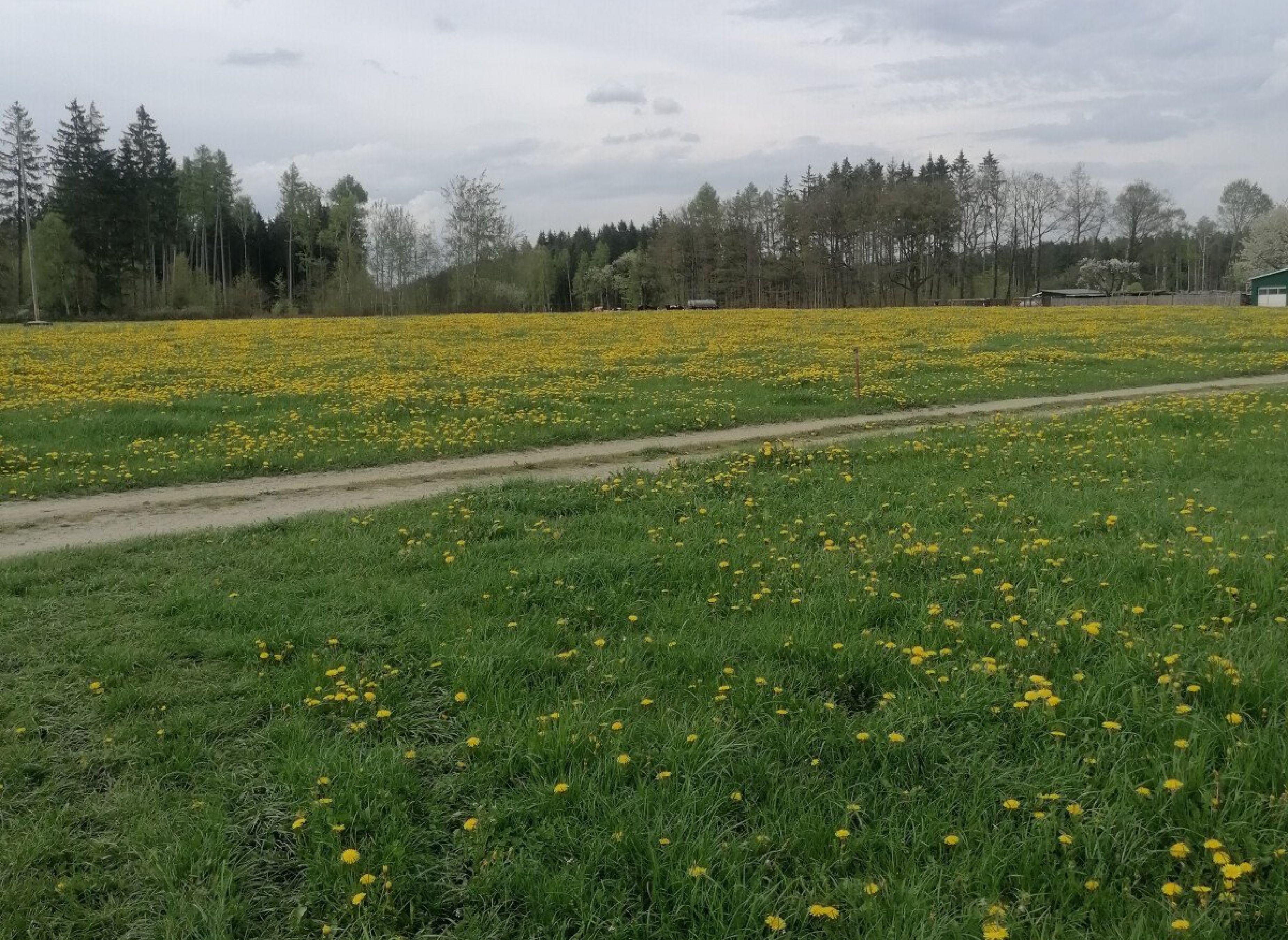 Stellplatz mit Blick auf die Weide — Ställplats in Remptendorf