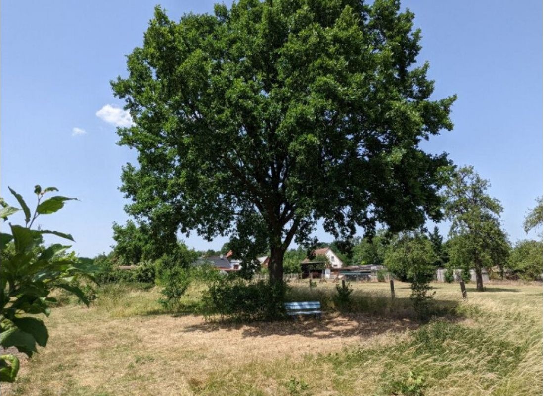Sommerlaune - erlebe die Milchstraße! — Campervan Site in Nennhausen