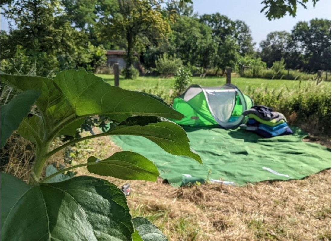 Sommerlaune - erlebe die Milchstraße! — Ställplats in Nennhausen