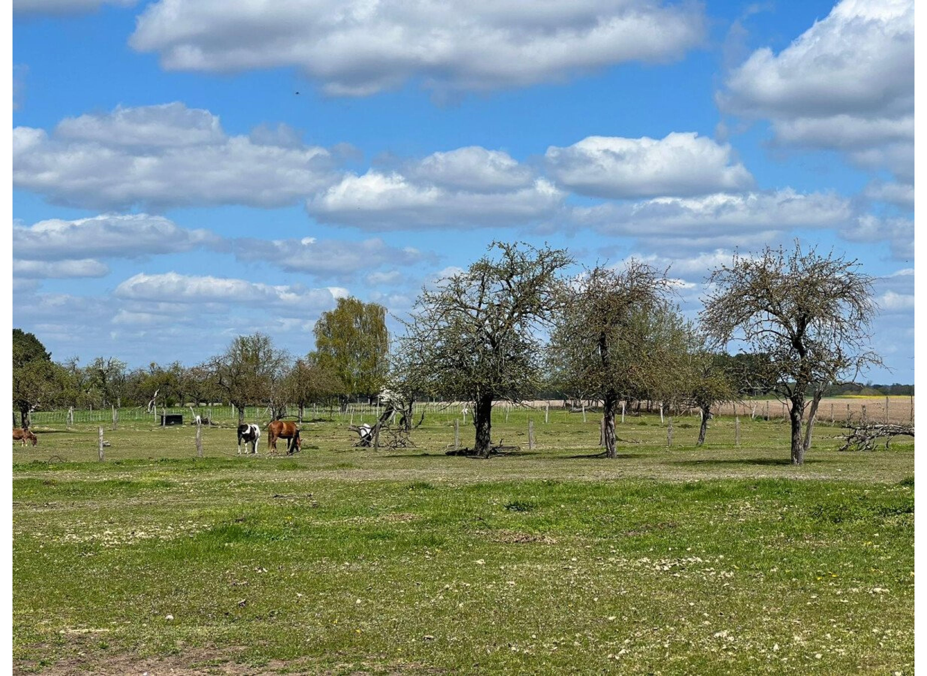 Little Texas Ranch — Karavan Sitesi in Lindow