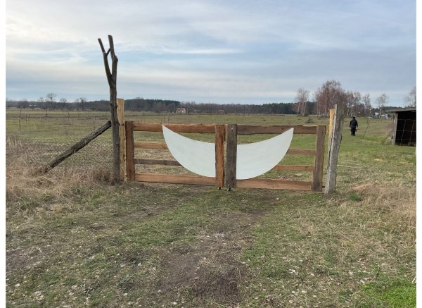 Little Texas Ranch — Photo 2