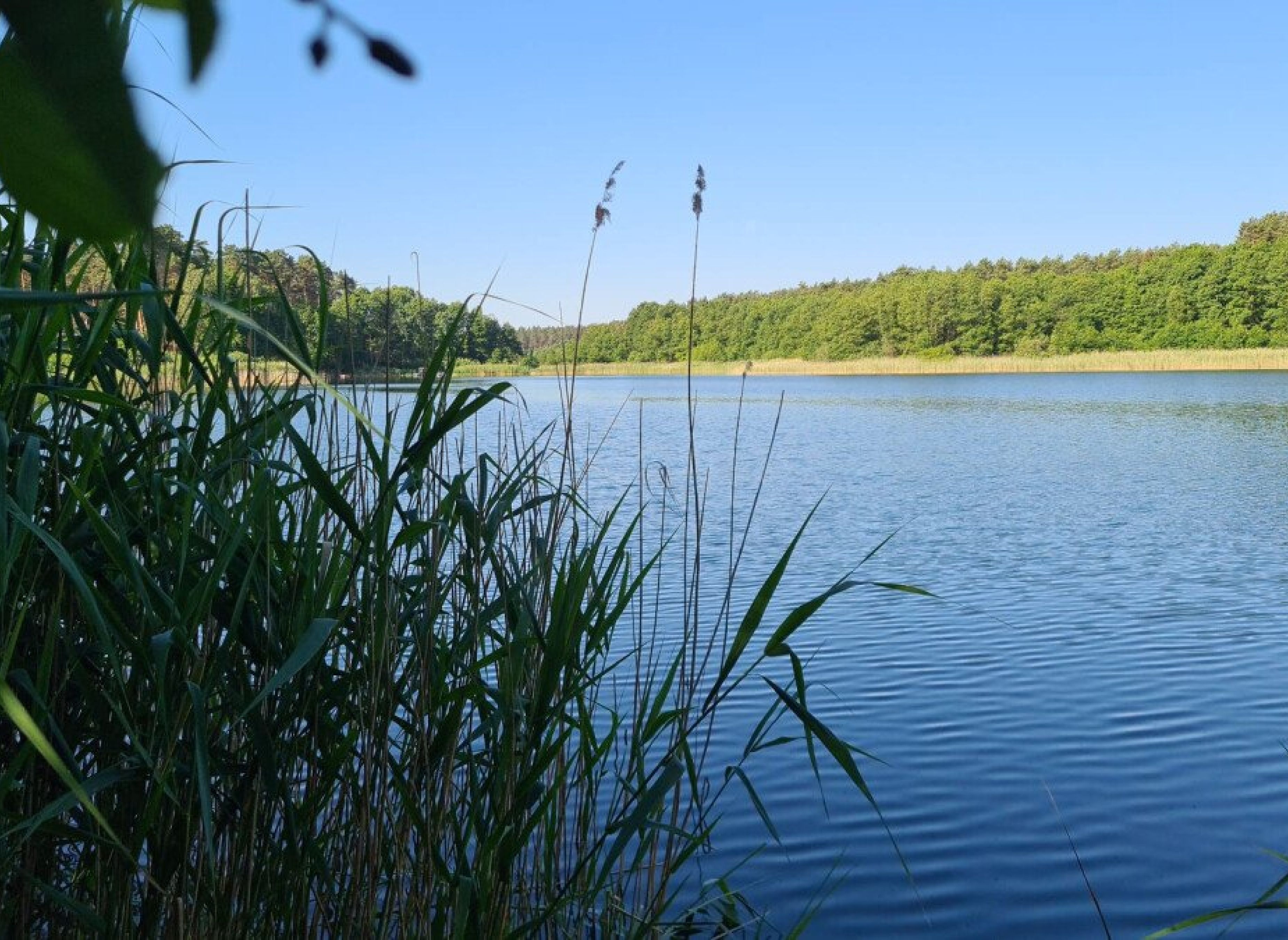 Natur pur genießen am See, inmitten ausgedehnter Wälder in Lychen — Karavan Sitesi in Lychen, OT Kastaven