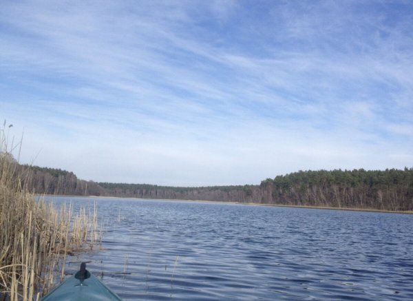 Natur pur genießen am See, inmitten ausgedehnter Wälder in Lychen