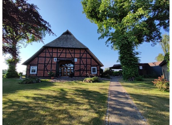 altes Bauernhausgrundstück mit Storchennest — Photo 2
