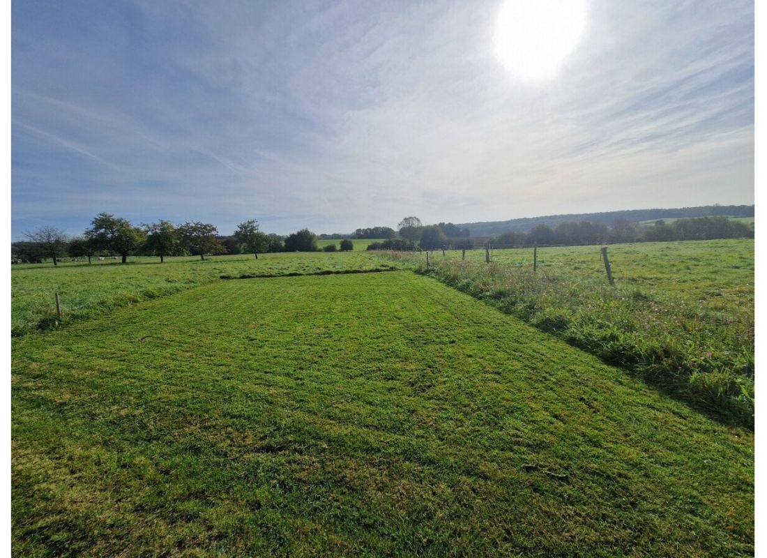 Entspannte Auszeit inmitten der Natur, zwischen Blumenwiesen und Feldern. Sonnenaufgang — Camperplaats in Herschbach