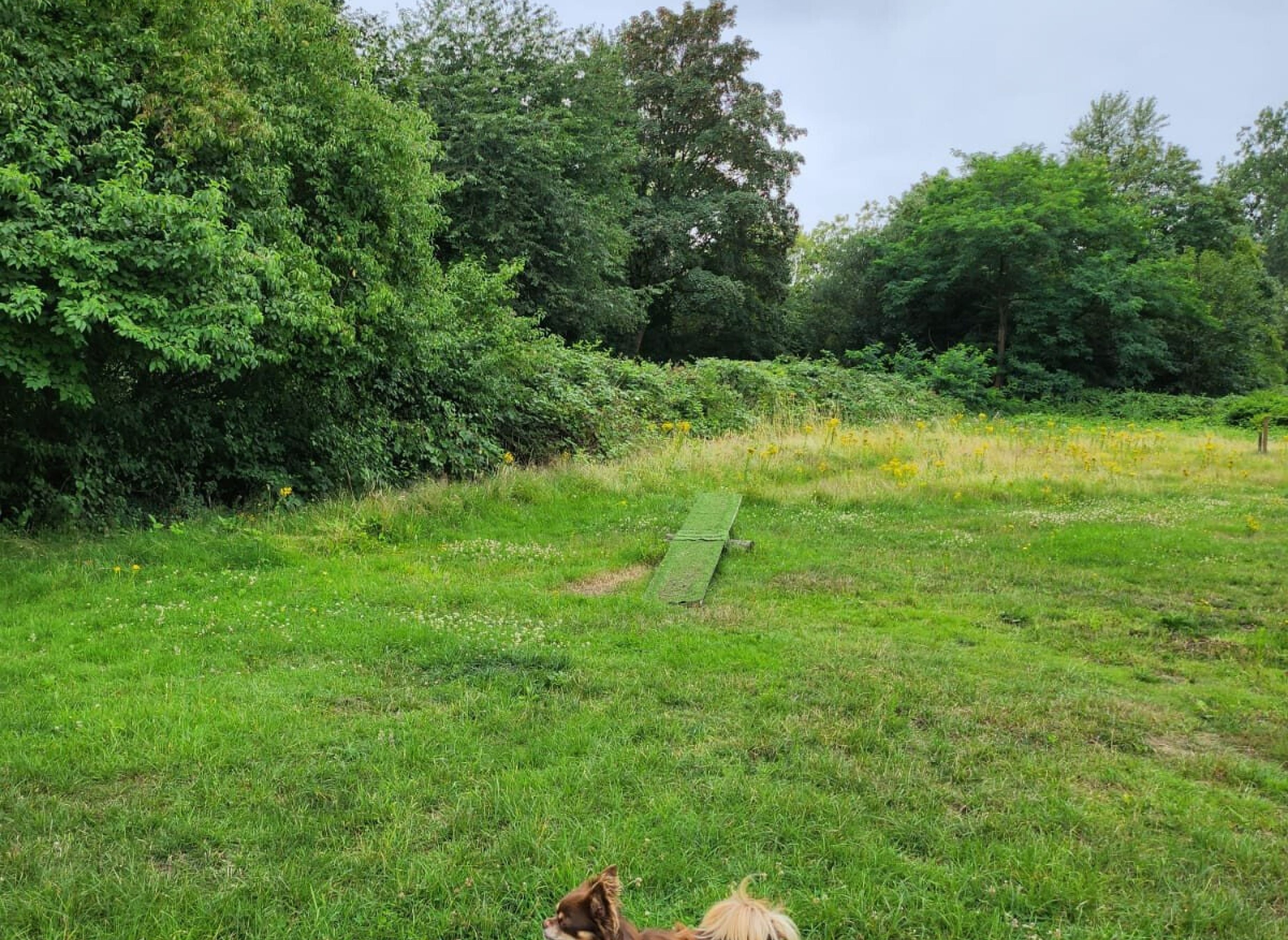 Einfache Wiese/Schotter — Camperplads in Bottrop