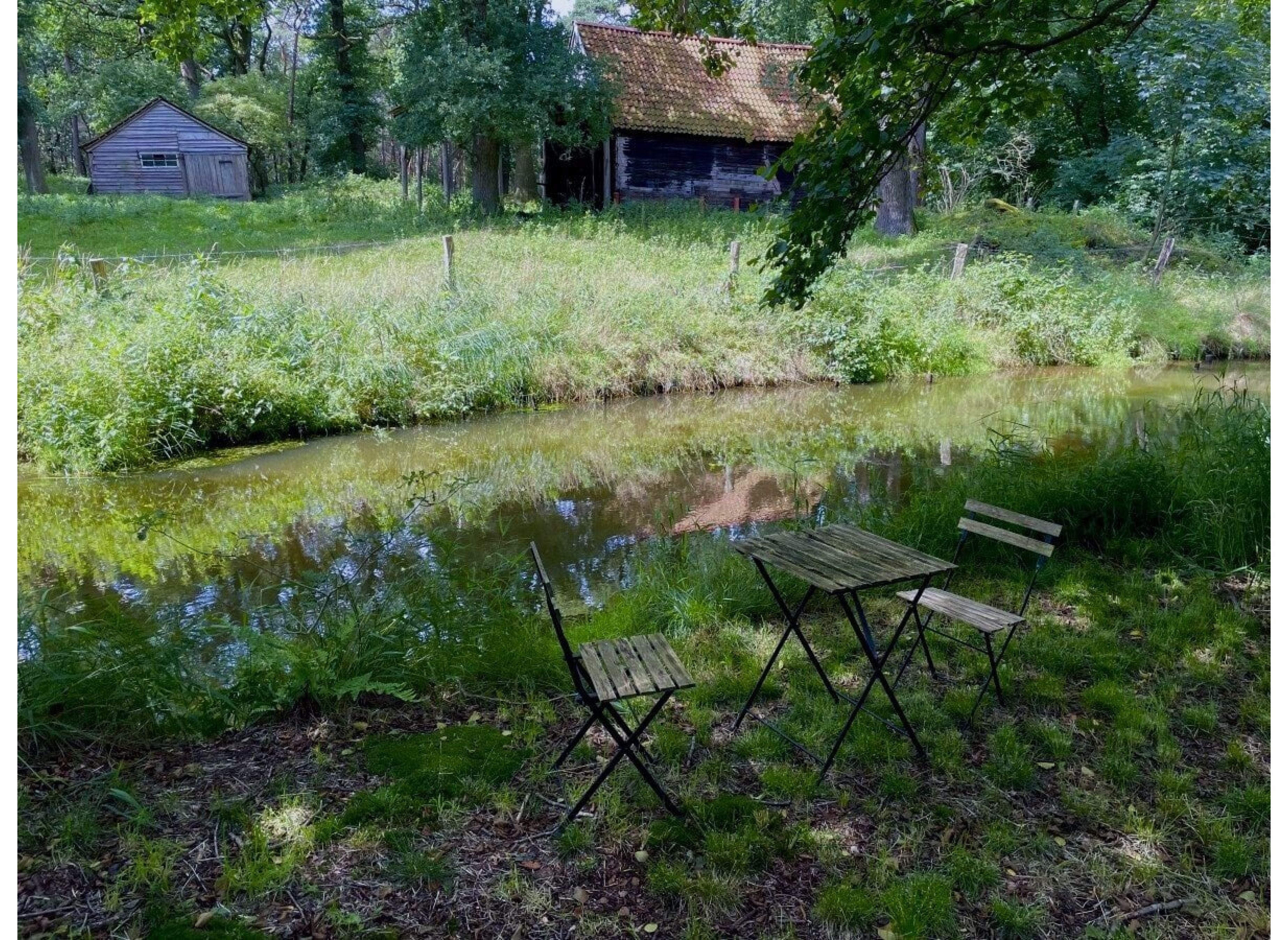 Auszeit auf einer wilden Wiese im Soestetal — Campervan Site in Friesoythe