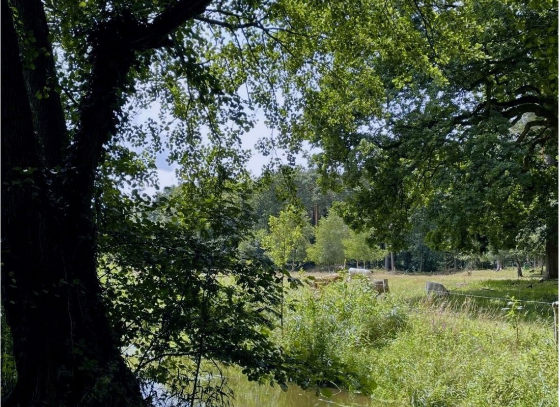 Auszeit auf einer wilden Wiese im Soestetal — Sítio para autocaravanas in Friesoythe