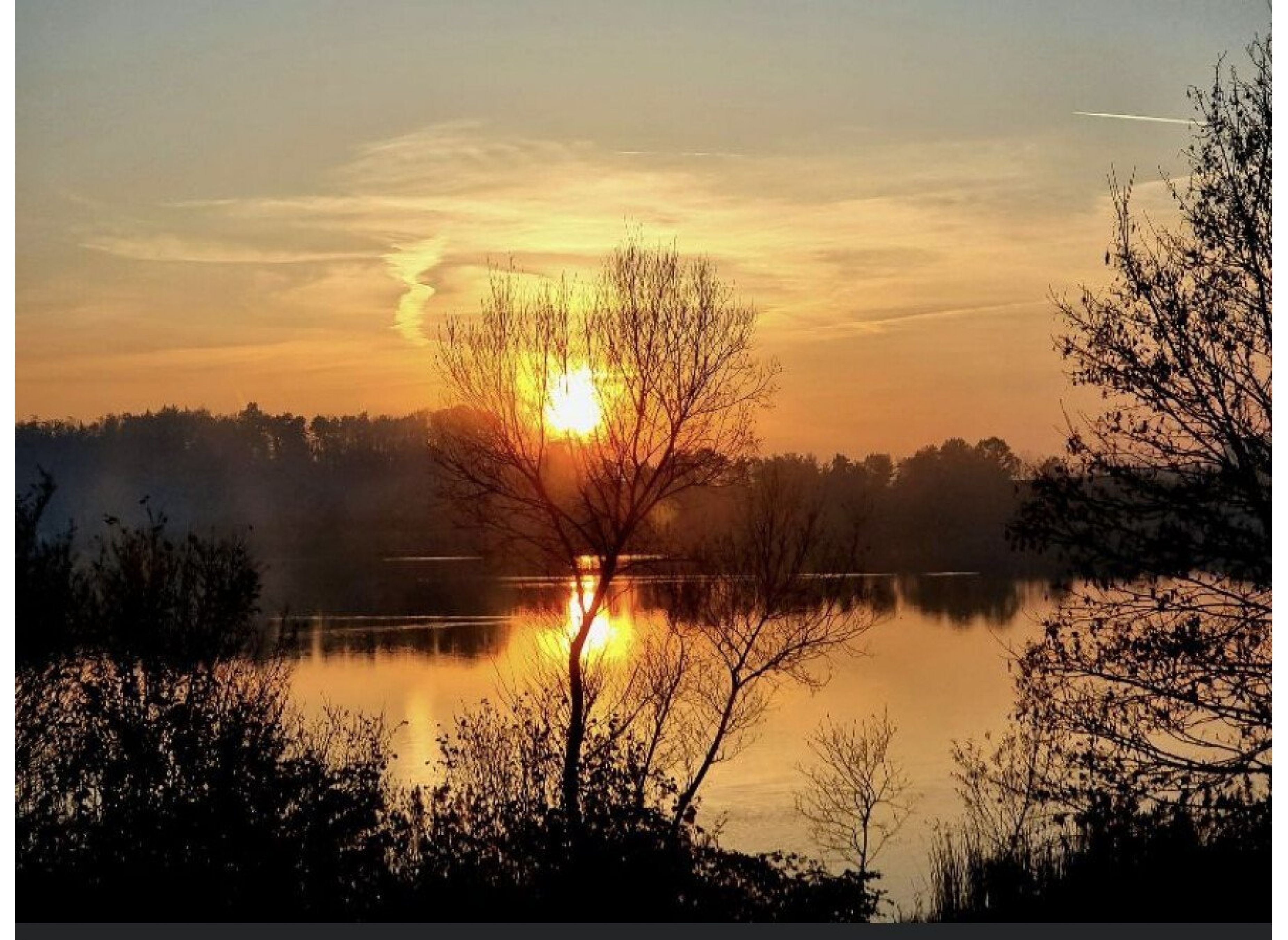 Campen am See mit Bergpanorama — Campervan Site in Überlingen