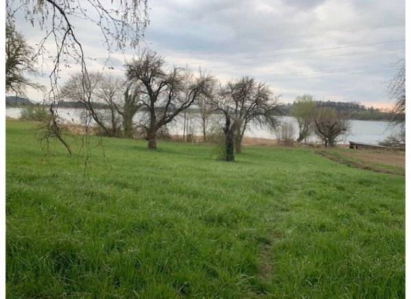 Campen am See mit Bergpanorama