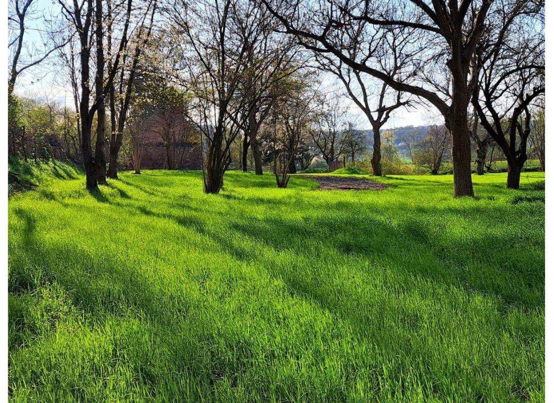 unter den Kirschbäumen neben der Unstrut — 露营车营地 in Laucha an der Unstrut