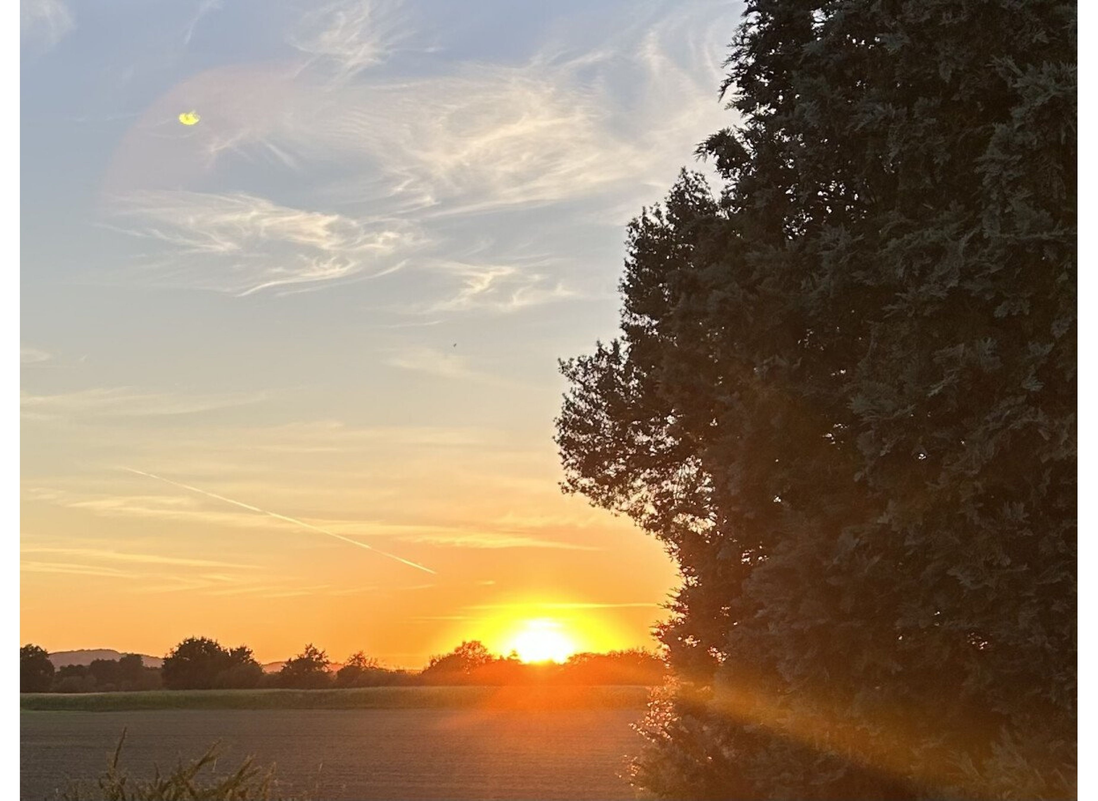 Platz auf der grünen Wiese mit Blick in den Sonnenuntergang — Campervan Site in Melle