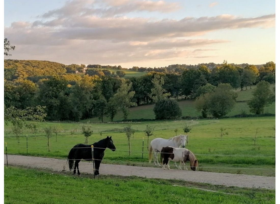 Zwischen den Tälern und Wäldern des Segala/among the valleys and woods of the Segala — Ställplats in Le Bas Segala