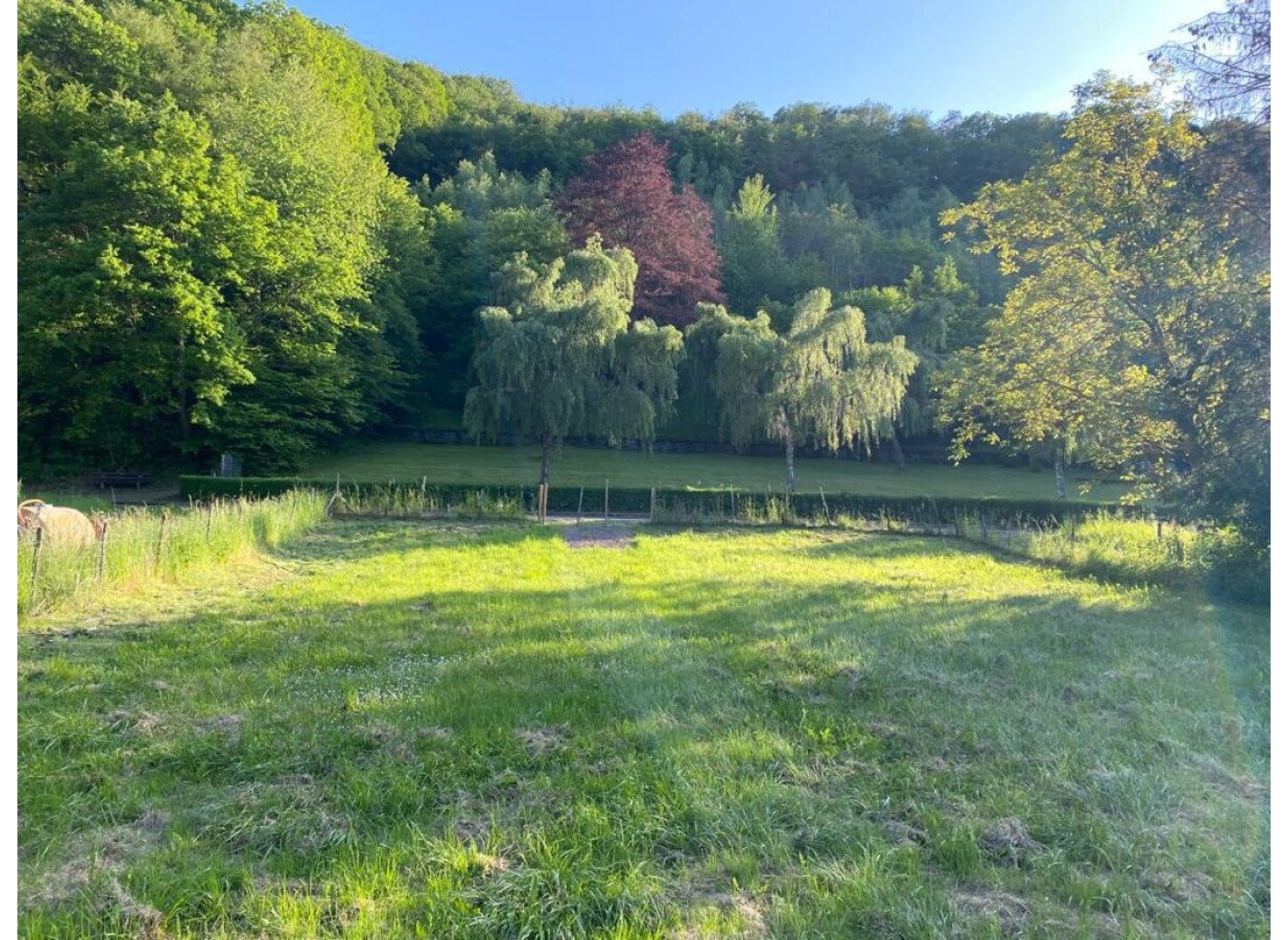 urlaub im schönsten Seitental der Mittelmosel — Місце для кемперів in Veldenz