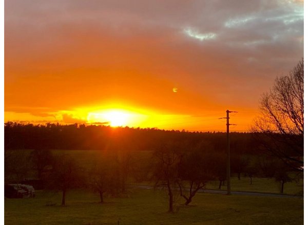 Ein Garten für euch :-) — Photo 2