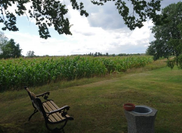 Nähe Halbendorfer See zwischen Tannen erholen ! — Photo 2