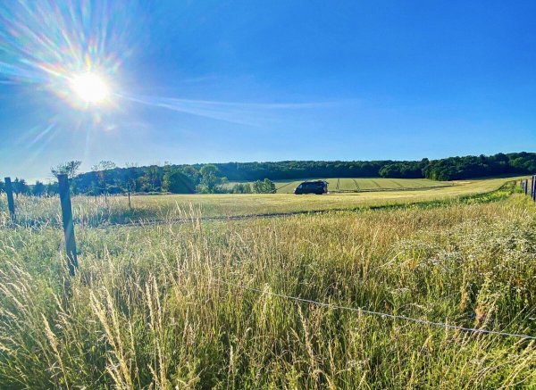 In der Natur mit Blick auf Weiden, Wald und Harz