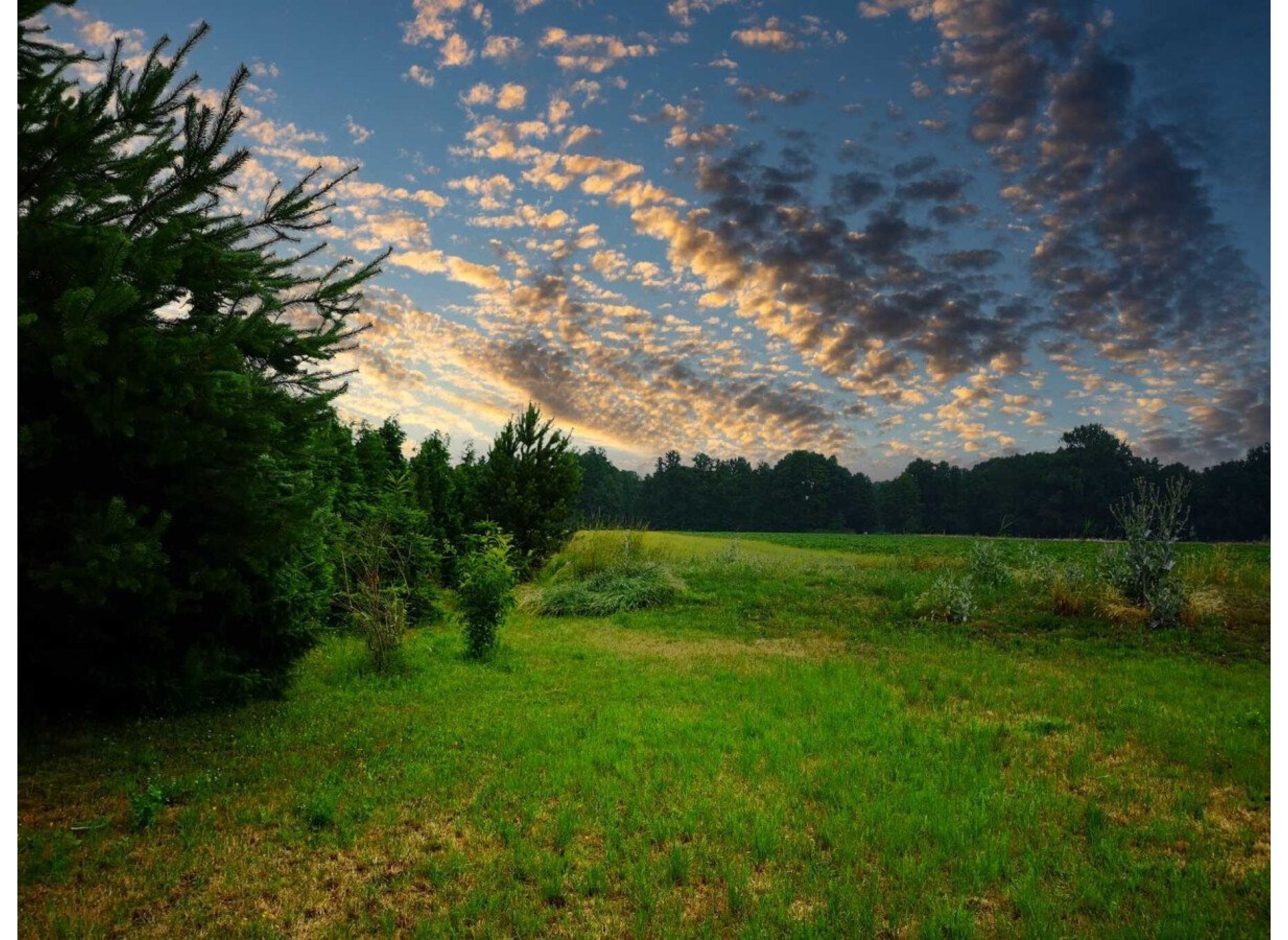 Stellplatz an der Dissener Spreeaue, Nahe Burg im Spreewald — Bobilplass in Dissen-Striesow