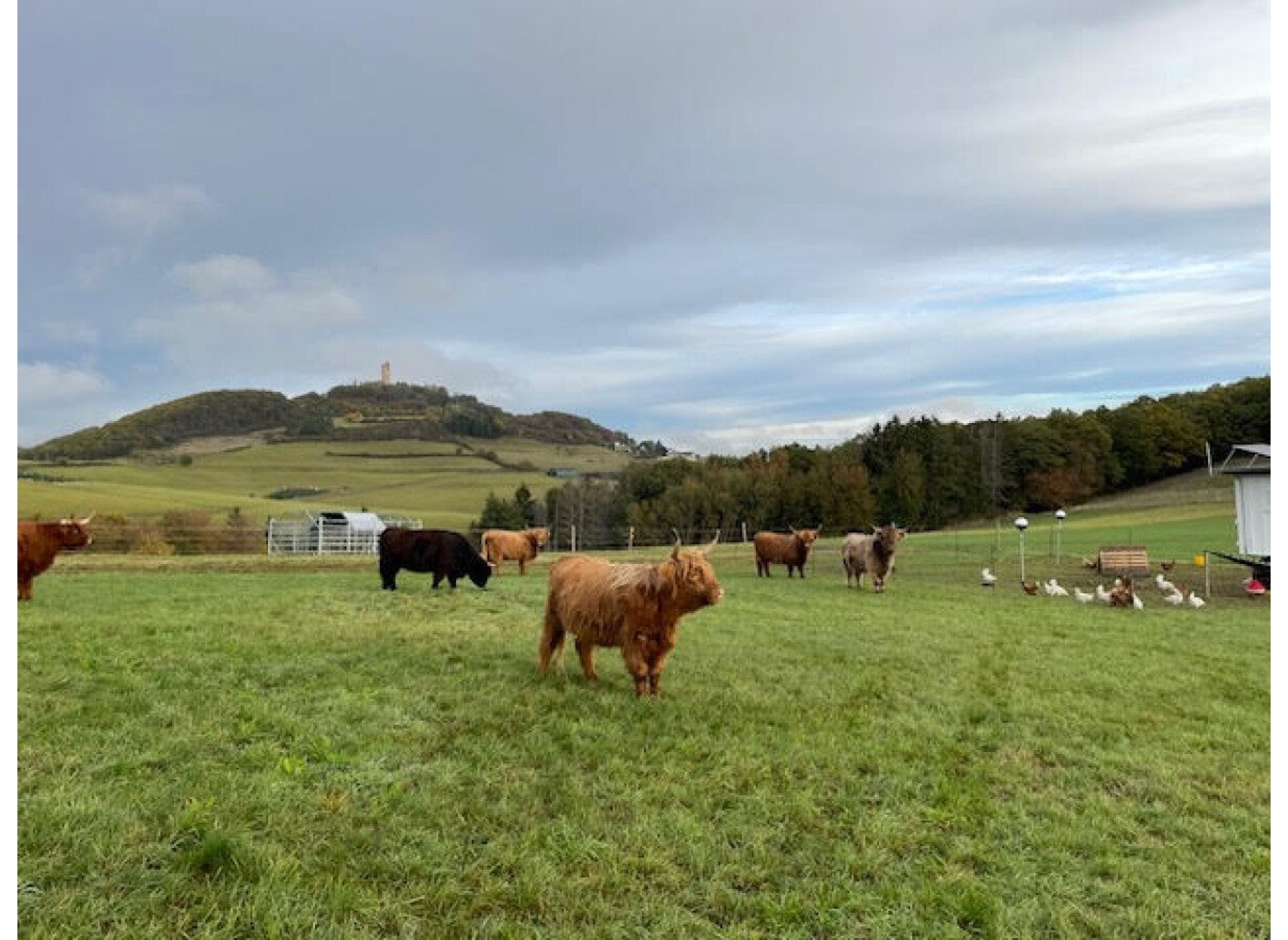Abseits der Zivilisation - Brohltalblick — Karavan Sitesi in Brenk