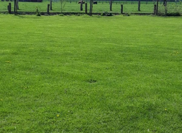 Campen in schöner Landschaft — Photo 2