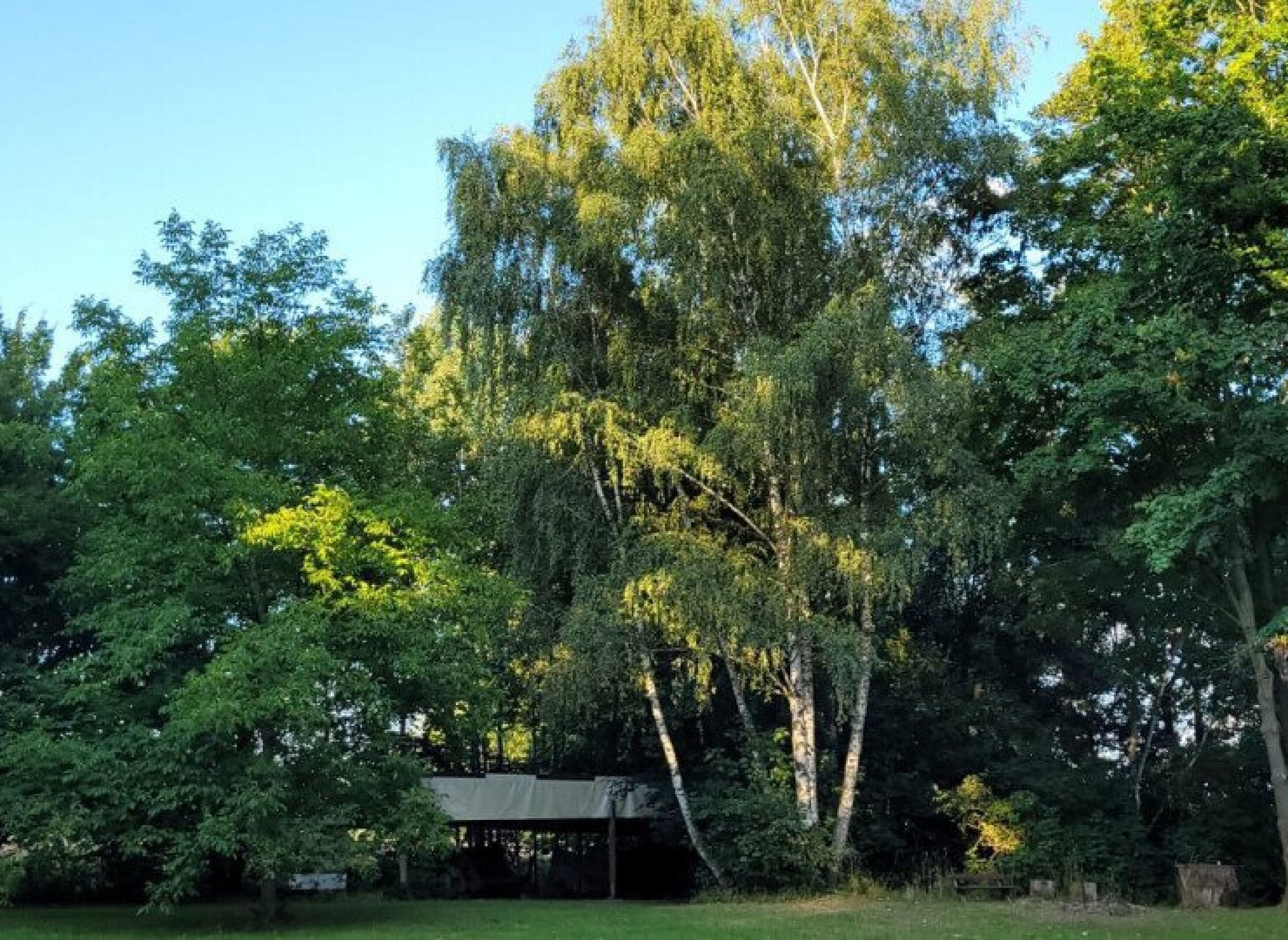 Stellplatz mitten in der Natur der Lausitzer Heide-und Teichlandschaft — Bobilplass in Großdubrau