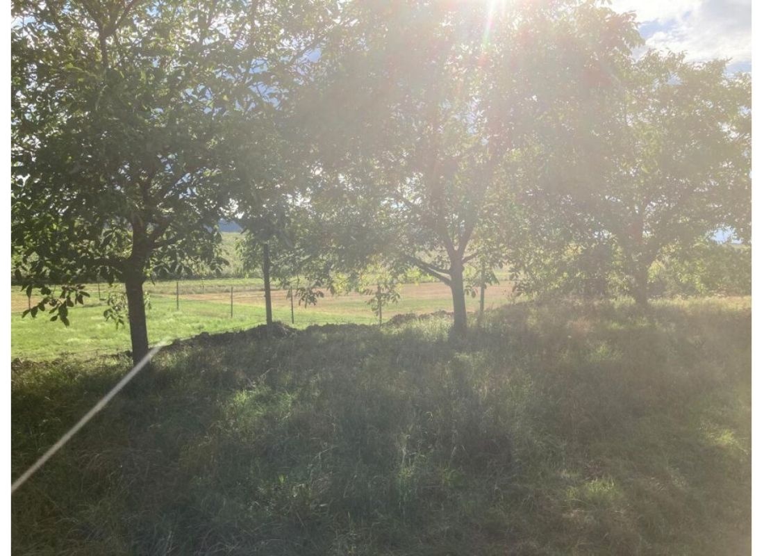 Stellplatz im idyllischen Grünen bei den Nussbäumen — Area Autocaravanas in Bönnigheim