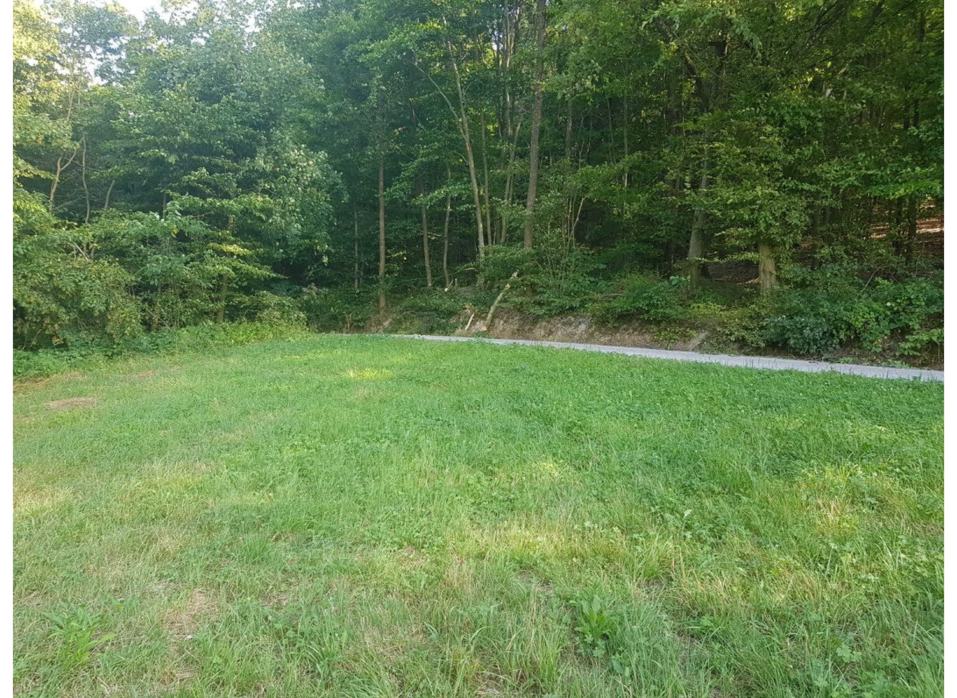 Waldrandidylle — Bobilplass in Oberstenfeld